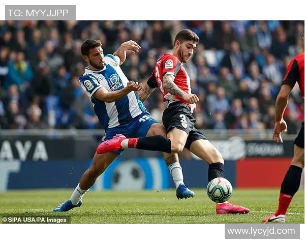 关键球员转会对足球联赛阵容变化与竞争格局的深远影响分析